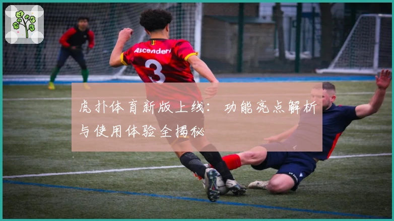 虎扑体育新版上线：功能亮点解析与使用体验全揭秘