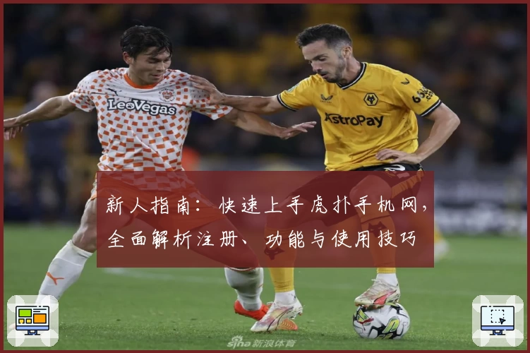 新人指南:快速上手虎扑手机网,全面解析注册、功能与使用技巧