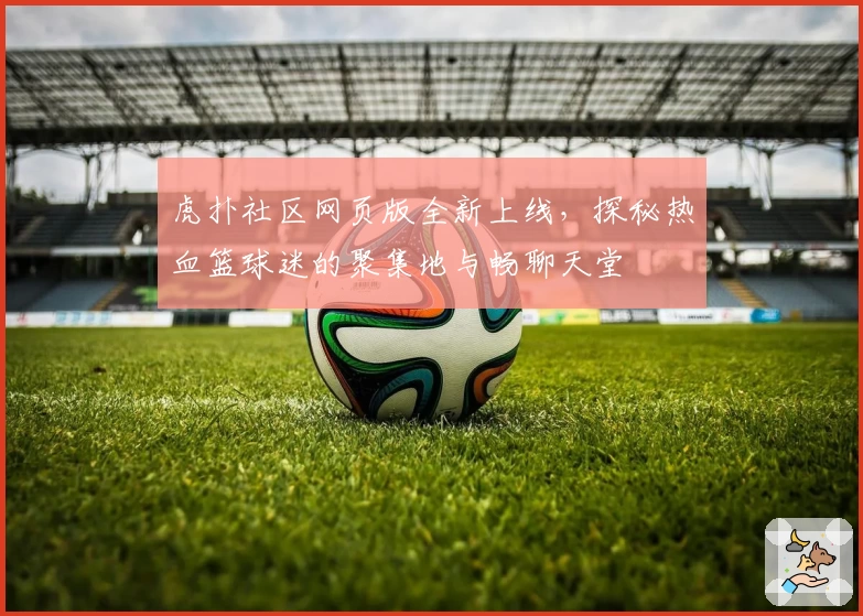 虎扑社区网页版全新上线，探秘热血篮球迷的聚集地与畅聊天堂