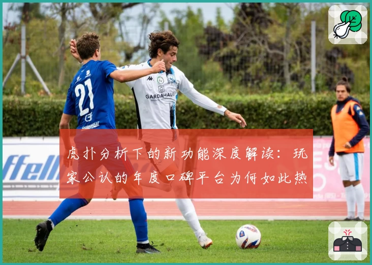 虎扑分析下的新功能深度解读：玩家公认的年度口碑平台为何如此热门