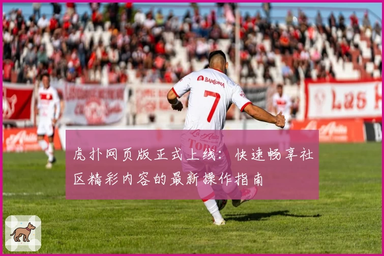 虎扑网页版正式上线：快速畅享社区精彩内容的最新操作指南